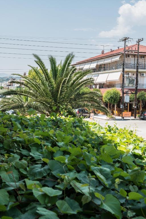 Hotel Alexandros เนปอรอย ห้อง รูปภาพ